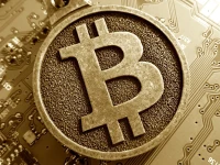Harvard Triples Down on Bitcoin: What's Driving the Institutional Stampede?